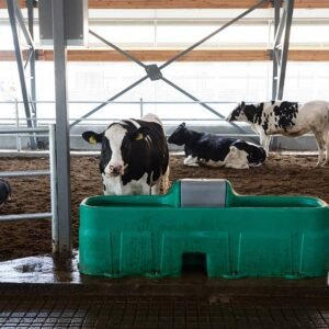 Comedero galvanizado para ganado – AgroFeed® 120L